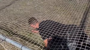 Гонка героев/ Уфа / Алкино -2/ вся трасса