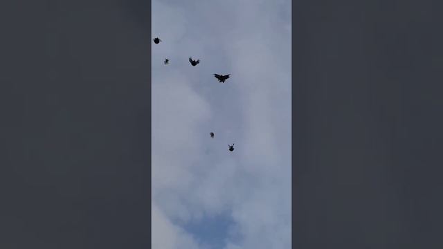 Стройка Вдохновений