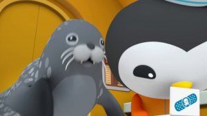 @Octonauts - Captain Barnacles Super Polar Adventure! | Cartoons for Kids | Underwater Sea Educatio
