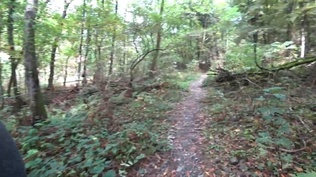 Хайкинг к водопаду Ниносхеви Ладогехи, Грузия/ Hiking to Ninoskhevi Waterfall, Lagodekhi, Georgia смотреть онлайн