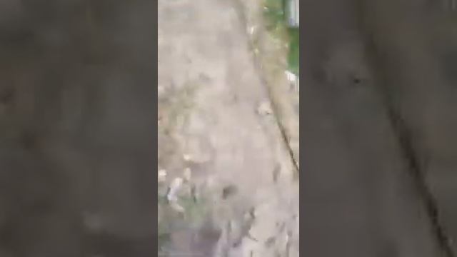 Овалы трясут номер смотреть онлайн