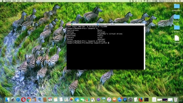 Complete Python Course from Basics to Brilliance in HD (Run Python Program File in Terminal) смотреть онлайн
