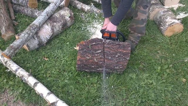 Пилю дрова Штиль мс 261с и 250