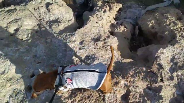 Турция🇹🇷 Анталия🇹🇷 Турецкий базар❤💯🇹🇷 красивое море 🌊декабрь месяц🇹🇷🌊 💯❤🙏 смотреть онлайн