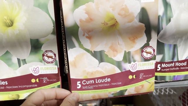 Канадейл Гарден центр- рай для садоводов (Canadale Nurseries)