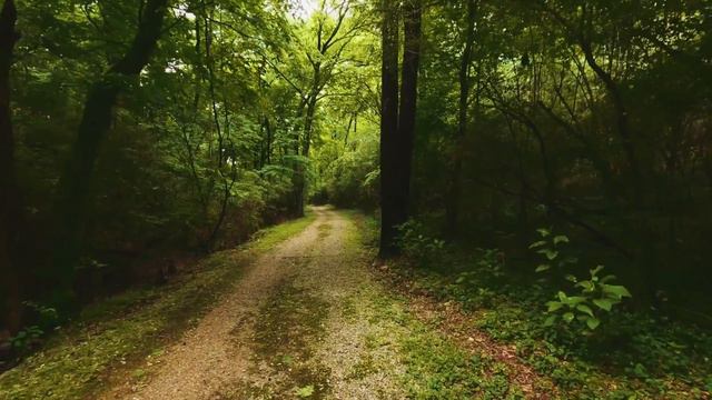 Nature sounds - звуки природы смотреть онлайн