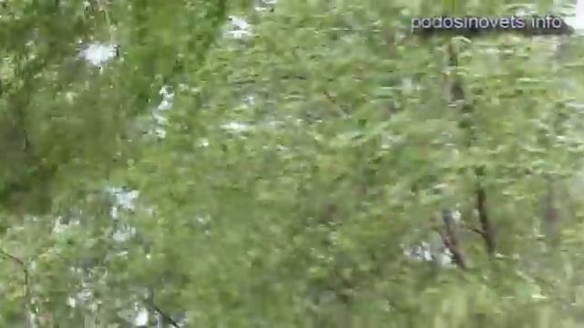 Шумы ураганного ветра смотреть онлайн
