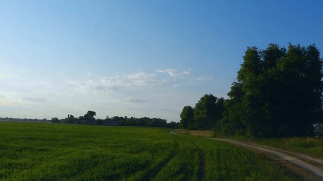 Михаил Ярошенко. Місячна дорога (Moon Road) П. Дворський, М. Бакай смотреть онлайн