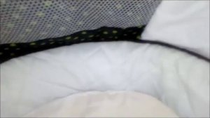 241) Обзор на нашу коляску для реборнов!