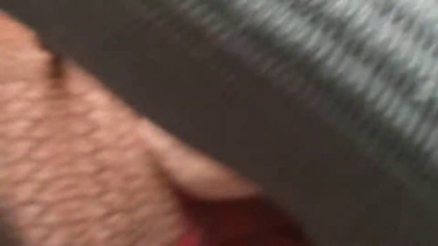 Моя кошка кусается! смотреть онлайн