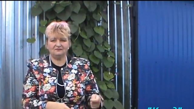 ИНовости "Доля". "Ручка в/камера", "Клад" смотреть онлайн