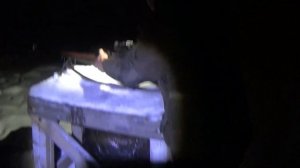 Получилось! Проверка пристрелки тепловизионного прицела Аркон Альфа 2  st25