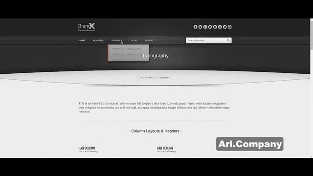 WordPress шаблон Brand X - Ari.Company смотреть онлайн