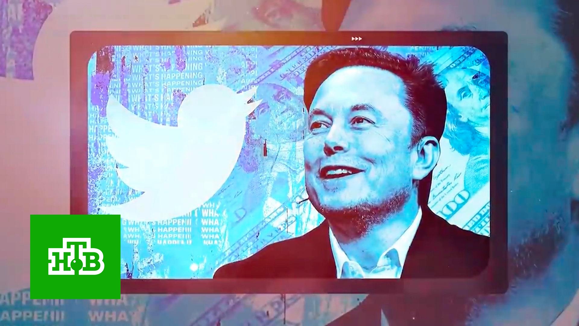 Инструмент большой политики: зачем Маск купил Twitter