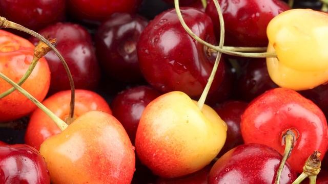 Интересные Факты о Животных