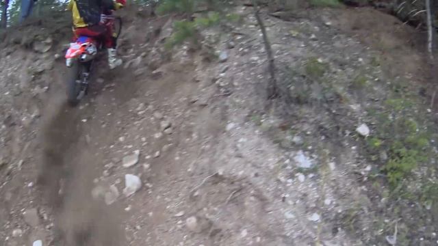 Псков, Бенёво, Печорский эндуро кабан)) Посмотрели одну из трасс. смотреть онлайн