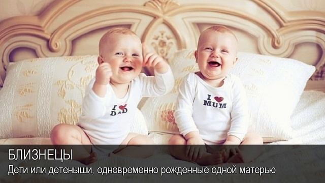 Близнецы. Толковый Видеословарь русского языка смотреть онлайн