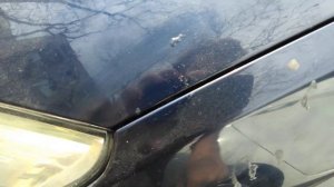 Как удалить старую сосновую смолу с кузова автомобиля?