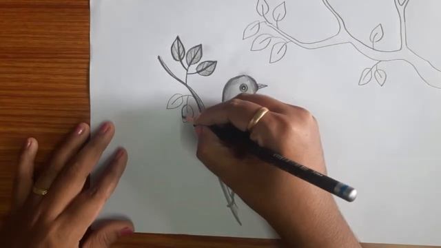 how to draw bird step by step/ bird drawing/ pencil sketch/ basic of drawings смотреть онлайн
