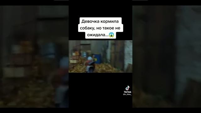 милая сабака не знаю почему девочка боялась смотреть онлайн
