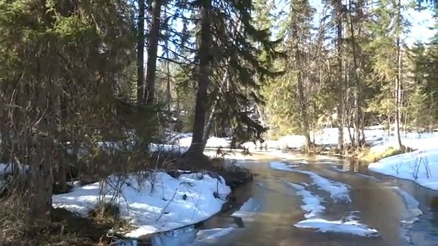 Как начинаются паводки. Река Солза и ее приток Пележма. смотреть онлайн