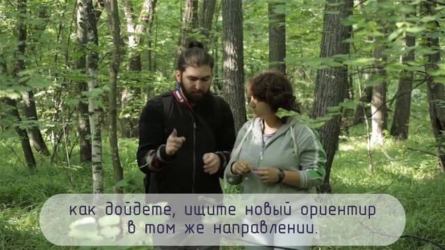 ДД-ОБЖ №1. ПОВЕДЕНИЕ В ЛЕСУ смотреть онлайн