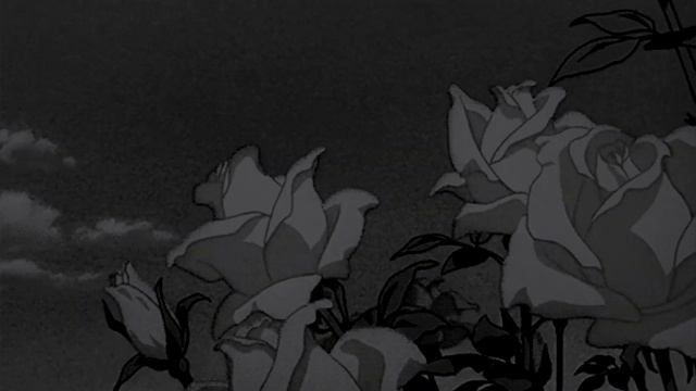 Capital Steez x Jakk the Rhymer x Knxwledge - Black Petunia (Slowed + Reverb) смотреть онлайн