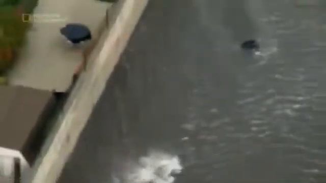 Школьник тонет Смотреть до конца смотреть онлайн