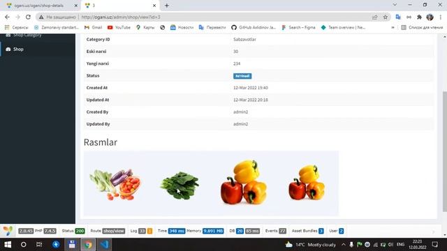 Yii2 E shoper 10 Part Ogani admin lte Shop updated смотреть онлайн