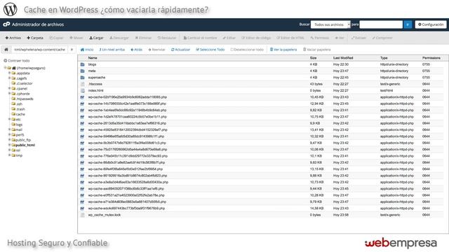 ¿Cómo LIMPIAR la Cache en WordPress? ¡Con SÓLO 1 Clic! ?️ con el plugin gratuito Clear Cache For Me смотреть онлайн