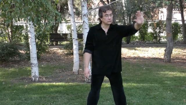 06 Учебное таолу стиля 