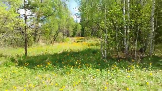 Сибирь,природа Сибири смотреть онлайн