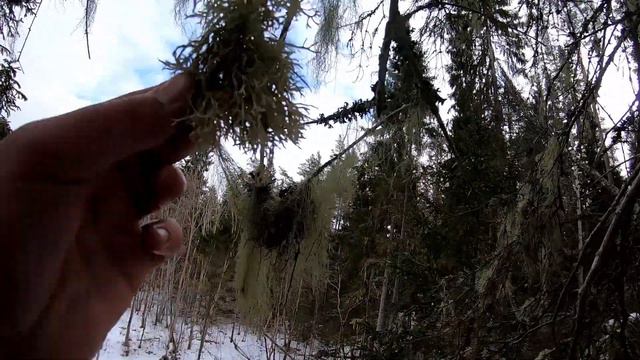 Поход Крайний Зимний - Утёсы, Каменная Конура, Шалаш Выживальщика, Ледоход смотреть онлайн