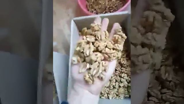 Грецкий Орех Киев смотреть онлайн