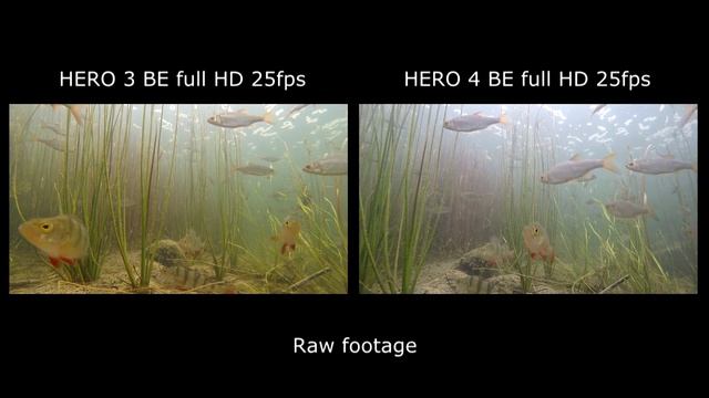 Gopro Hero 3 BE vs 4 Black underwater side by side comparison test. Гопро сравнение под водой. смотреть онлайн