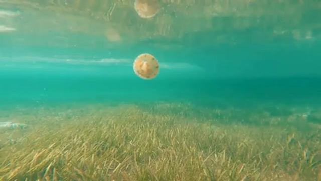 Легкая расслабляющая музыка для отдыха смотреть онлайн