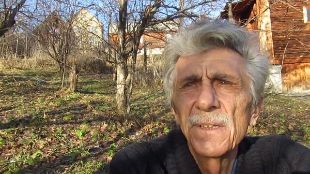 Возвращение лета! смотреть онлайн