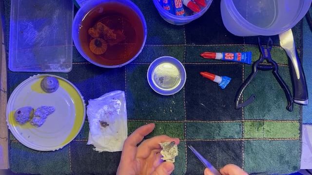 Фрагую кораллы | Морской аквариум смотреть онлайн