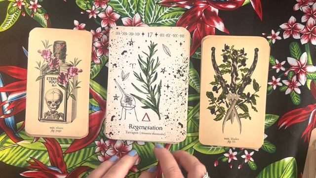 My Tarot and Oracle Collection Part 1: Botanical decks смотреть онлайн