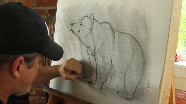 Learn how to Draw a Bear from a pro смотреть онлайн