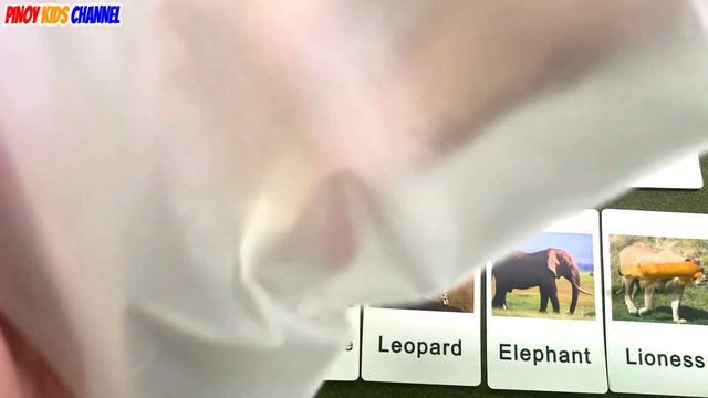 Wild Zoo Animals Flashcards for Montessori with Animal Sounds смотреть онлайн