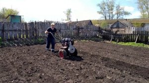 Посадка картофеля мотоблоком Ока под окучник.