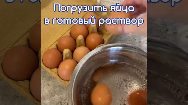 Дезинфекция яиц в домашних условиях. Анавидин-Комплит дезинфицирующее средство без хлора смотреть онлайн