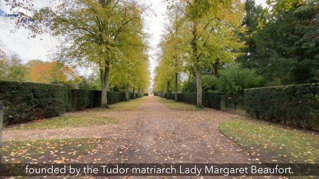 881 Университеты Кембриджа // Universities of Cambridge смотреть онлайн