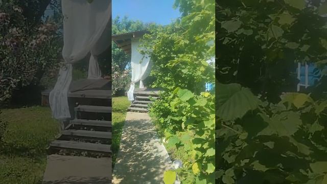 тур в Абхазию...2023 смотреть онлайн