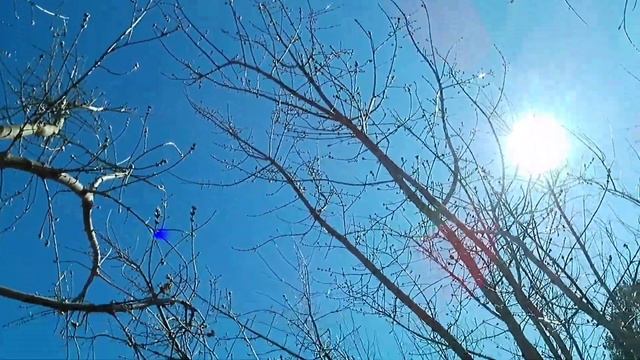 прогулка первое видео с новой камерой смотреть онлайн