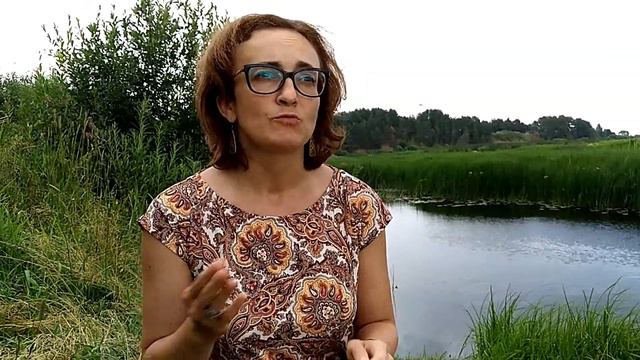 Физика Смешанное обучение и перевёрнутый класс смотреть онлайн