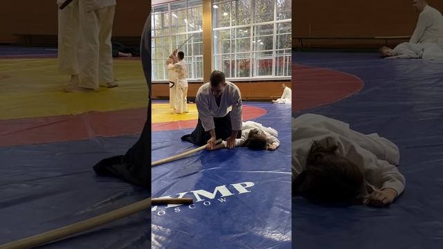 Мастер класс по айкидо bestaikido.ru смотреть онлайн