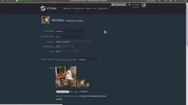 Фишки стим | Steam Profile