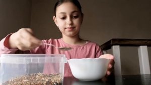 Как сделать печенье для хомячка/вкусняшка для хомяка /своими руками ??